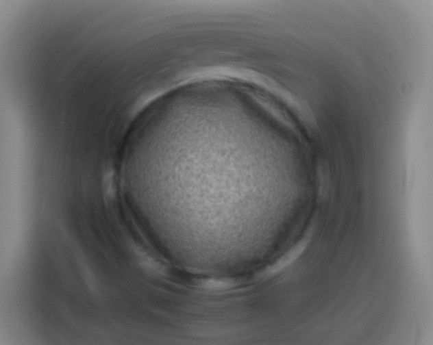 X0000113541497200910021339