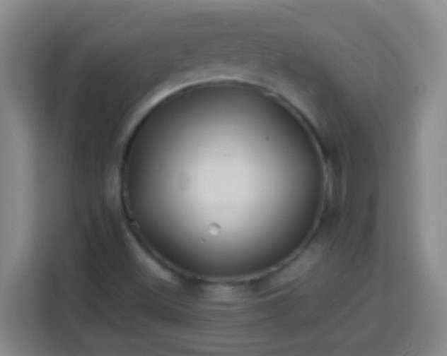 X0000113541500200910021339