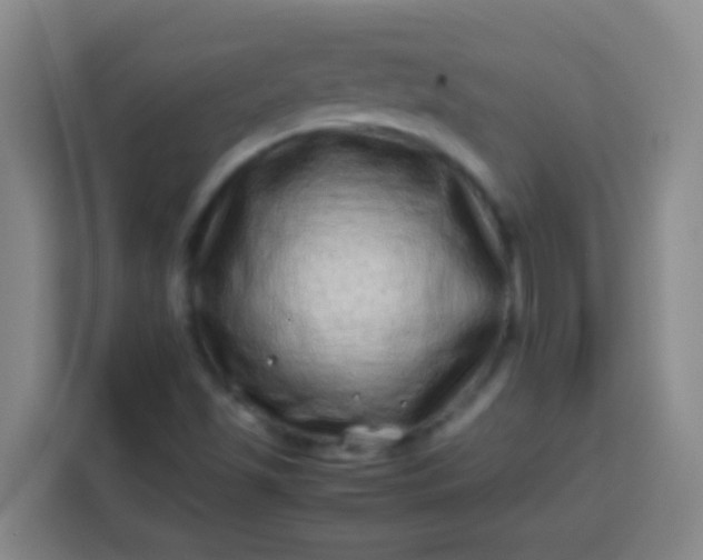 X0000113541501200910021339