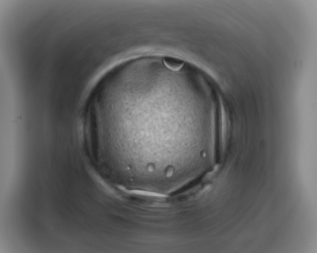 X0000113541503200910021339