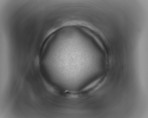 X0000113541505200910021339