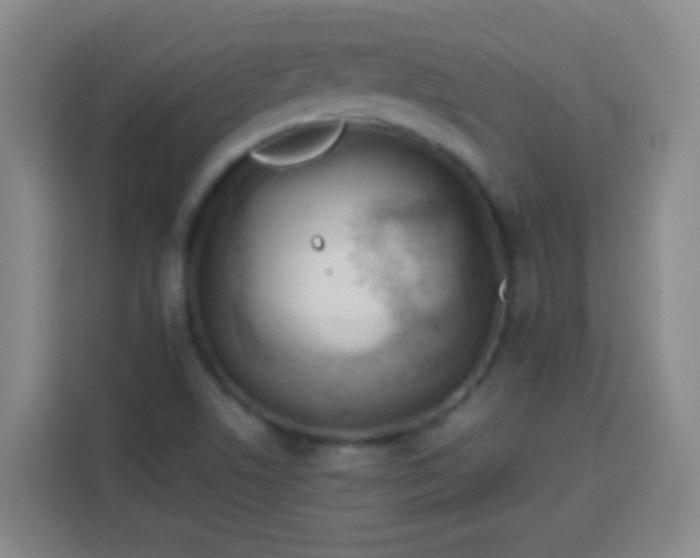 X0000113541506200910021339