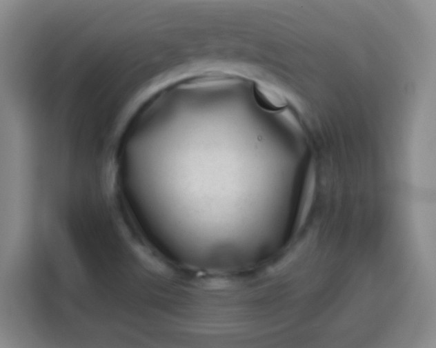 X0000113541507200910021339