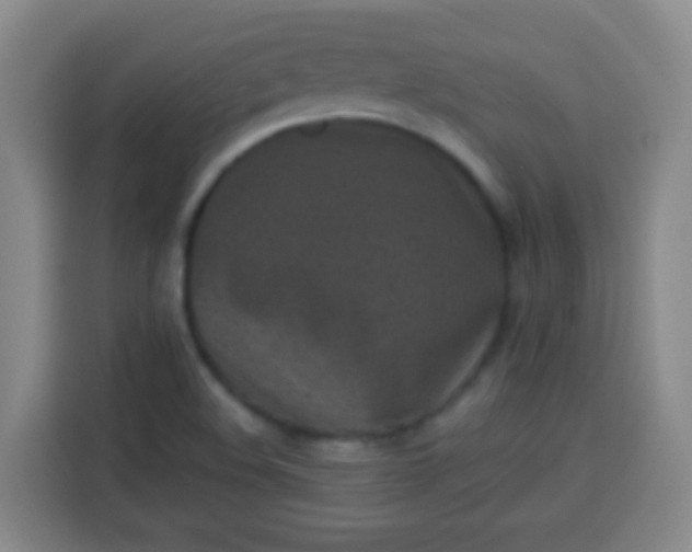 X0000113541508200910021339