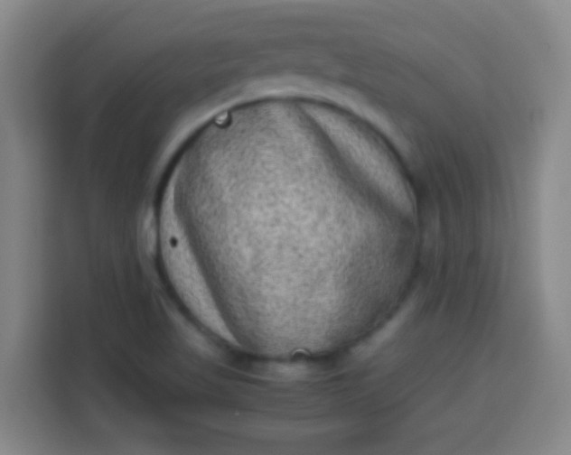 X0000113541509200910021339