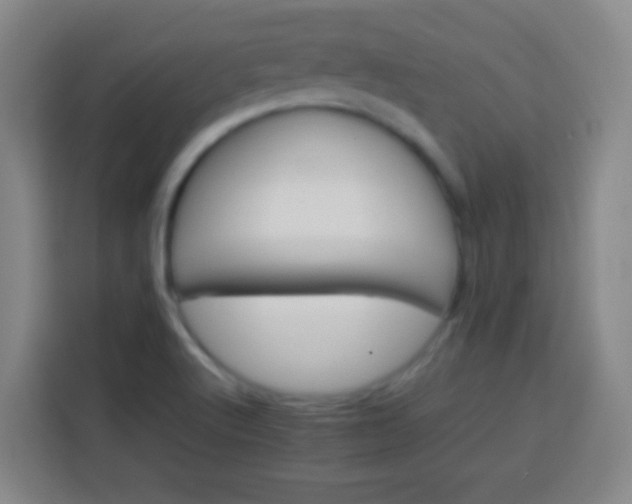 X0000113541512200910021339