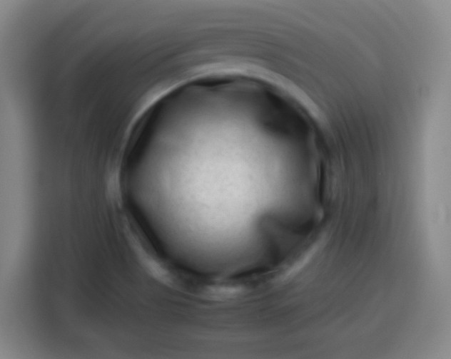 X0000113541513200910021339