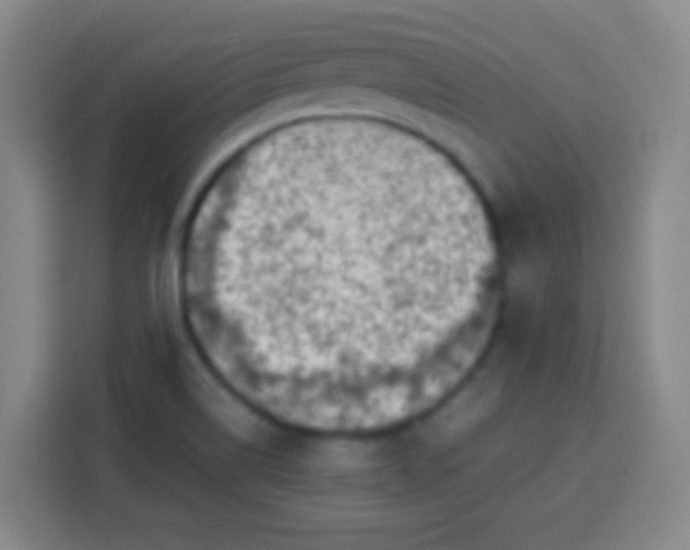 X0000113541514200910021339