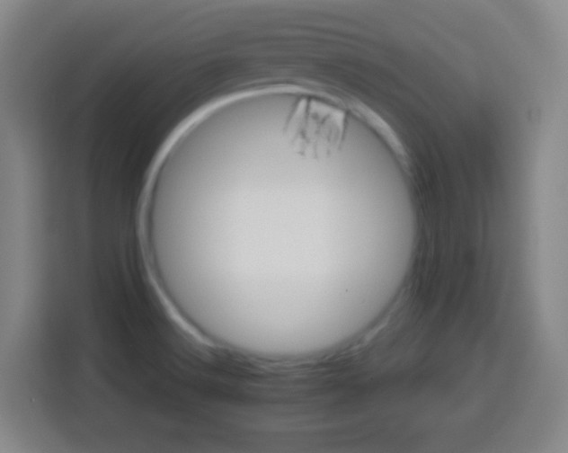 X0000113541516200910021339