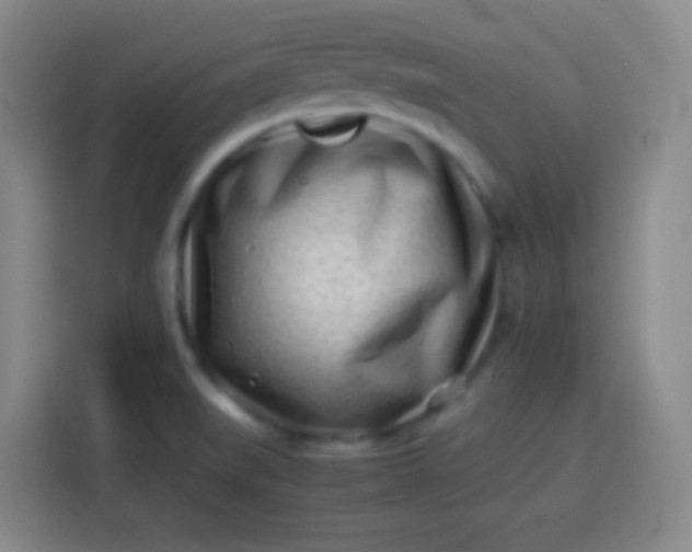 X0000113541519200910021339