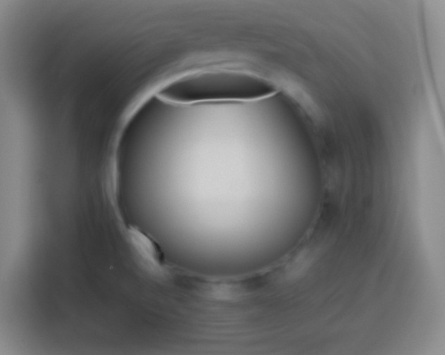 X0000113541520200910021339