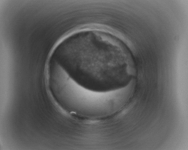 X0000113541522200910021339