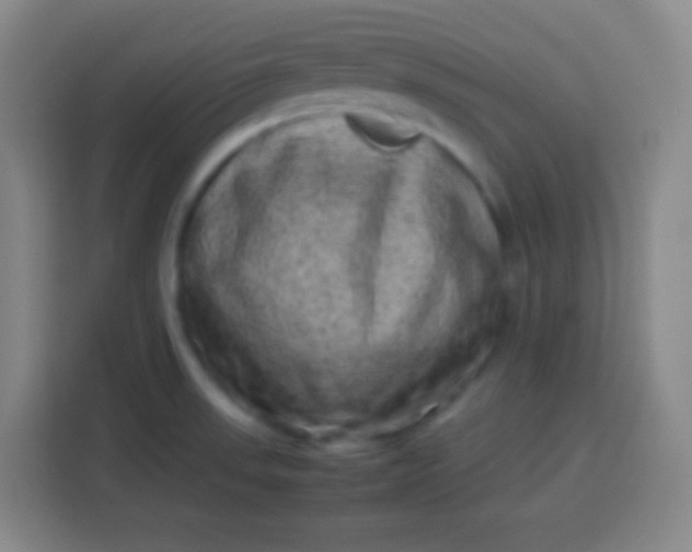 X0000113541523200910021339