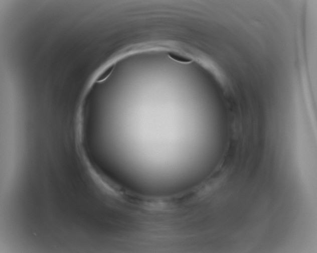 X0000113541524200910021339