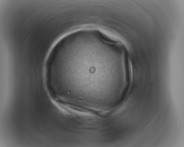 X0000113541527200910021339