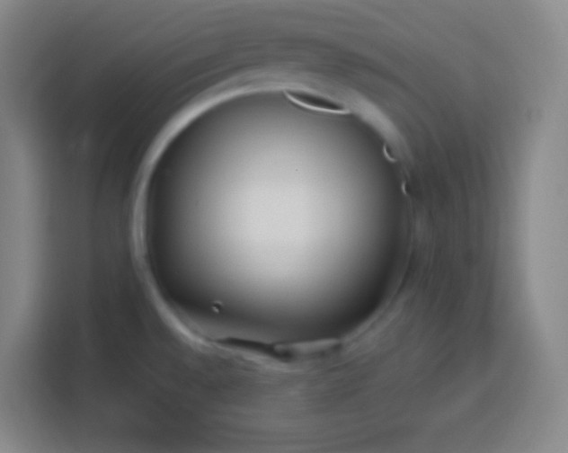 X0000113541528200910021339