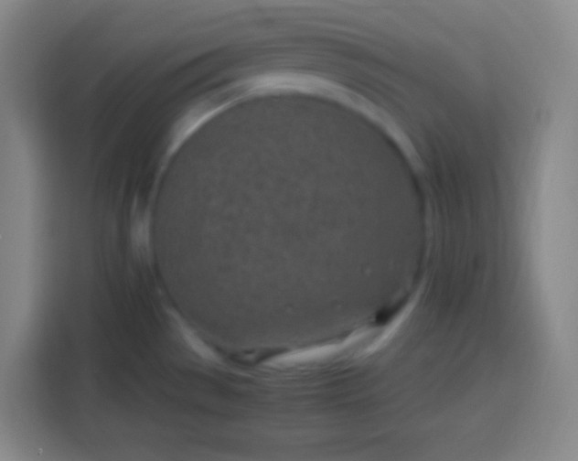 X0000113541529200910021339