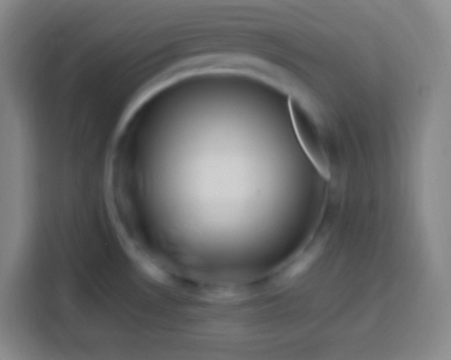 X0000113541530200910021339