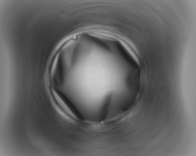 X0000113541531200910021339