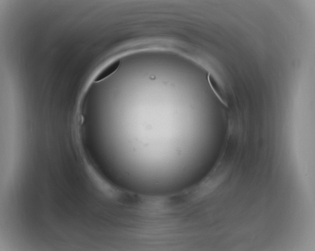 X0000113541532200910021339