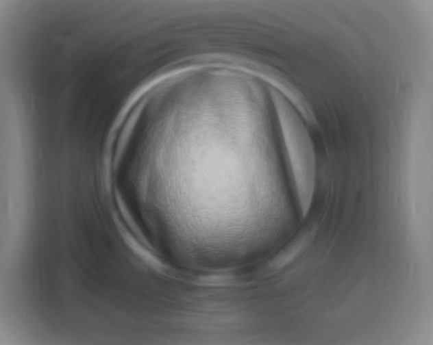 X0000113541535200910021339