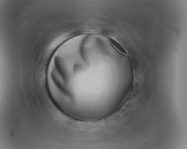 X0000113540005200910091253