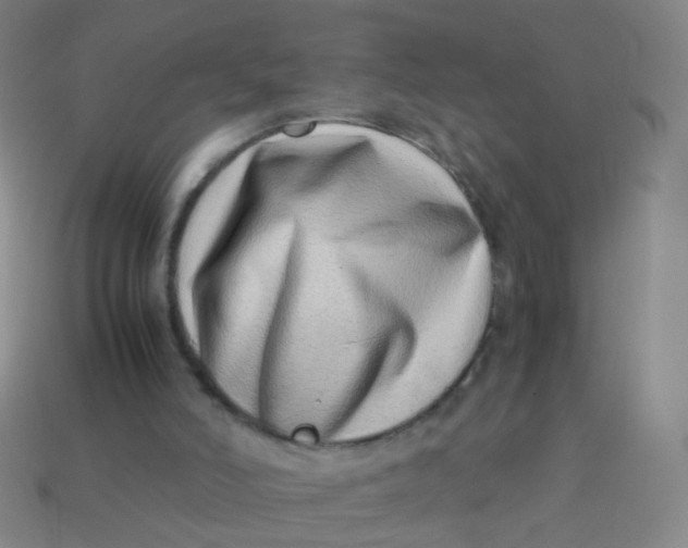 X0000113540006200910091253