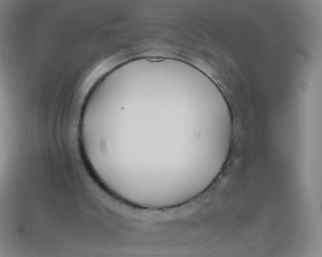 X0000113540007200910091253