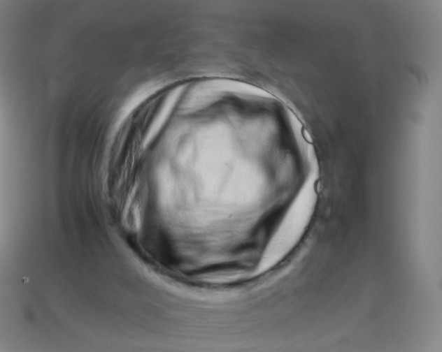 X0000113540008200910091253