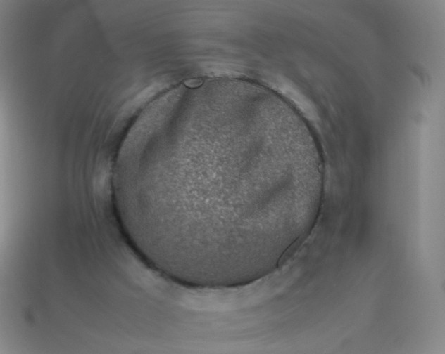 X0000113540009200910091253