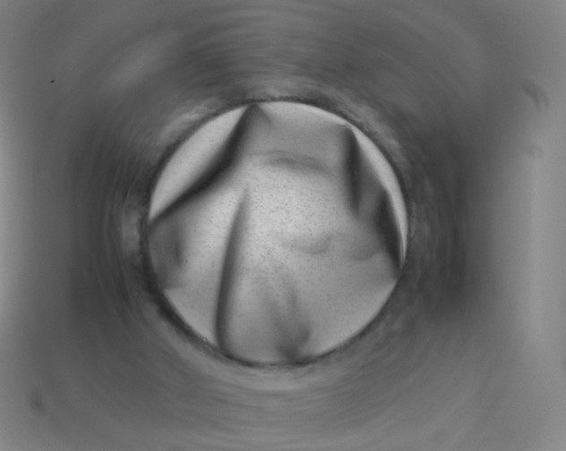 X0000113540010200910091253