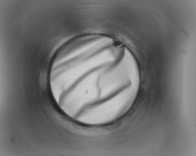 X0000113540012200910091253