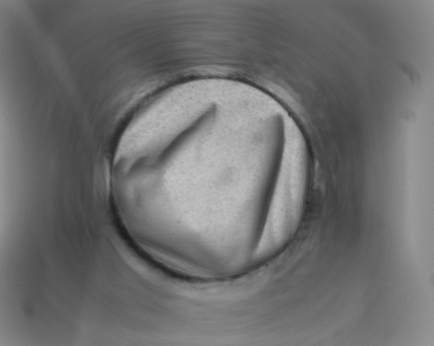 X0000113540013200910091253
