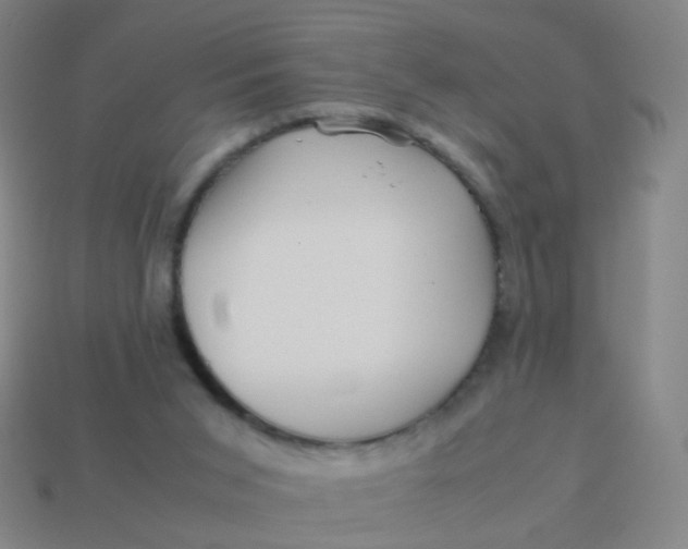 X0000113540015200910091253