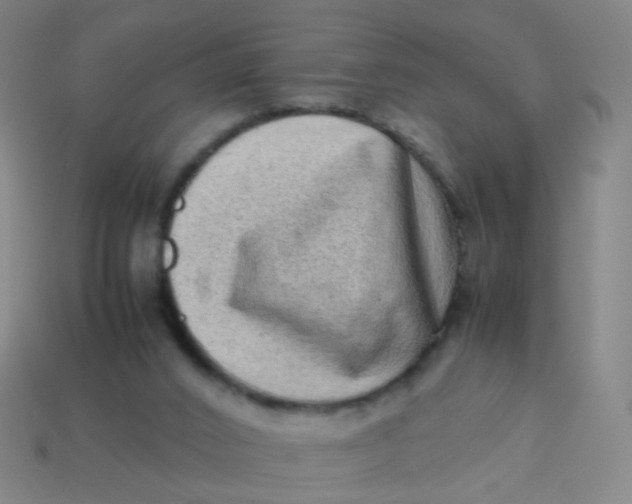 X0000113540016200910091253