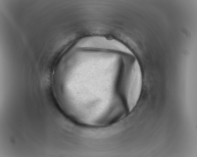 X0000113540017200910091253