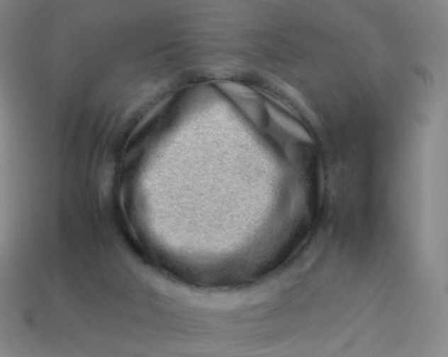 X0000113540018200910091253