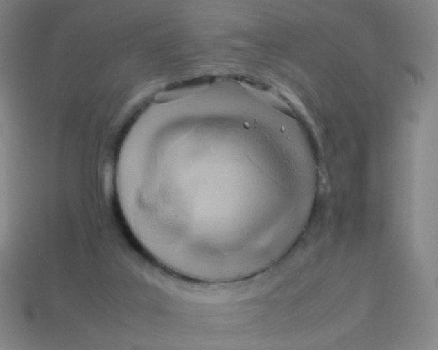 X0000113540019200910091253