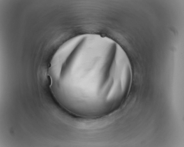 X0000113540021200910091253
