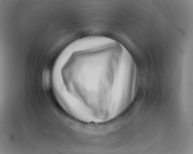 X0000113540022200910091253