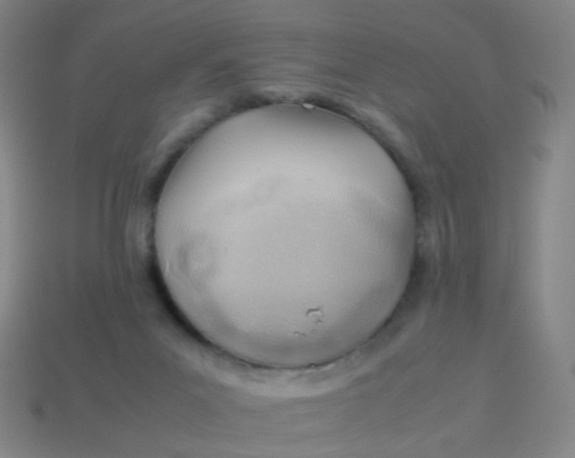 X0000113540023200910091253