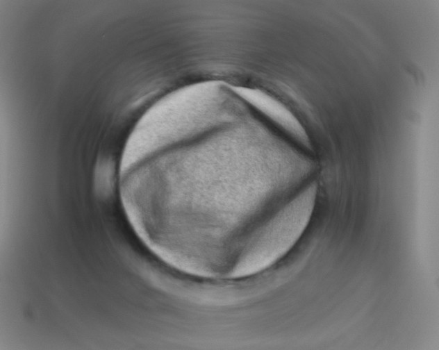 X0000113540024200910091253