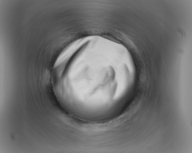 X0000113540025200910091253