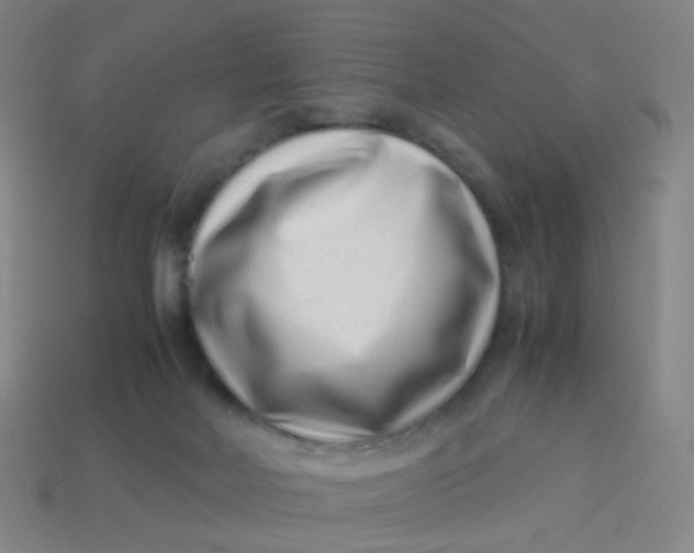 X0000113540026200910091253