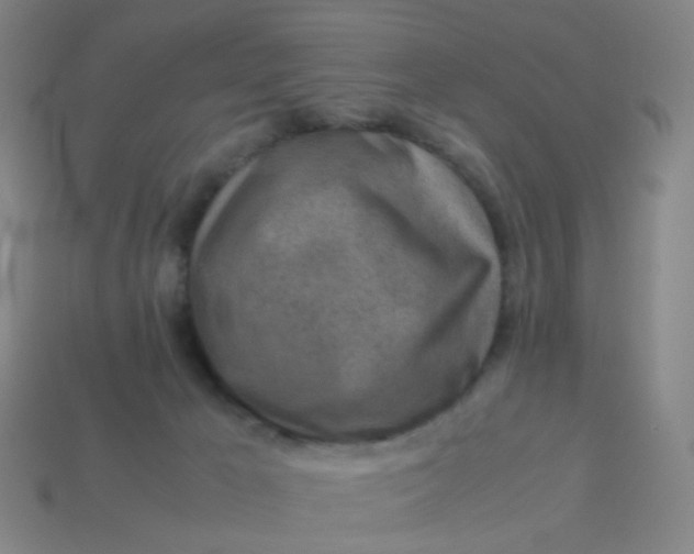 X0000113540029200910091253