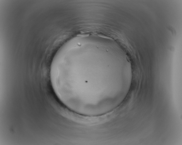 X0000113540031200910091253