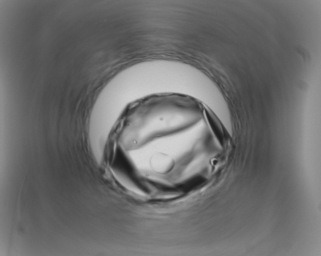 X0000113540033200910091253