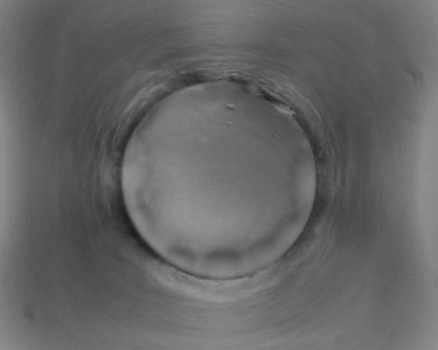 X0000113540035200910091253