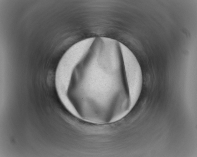 X0000113540036200910091253