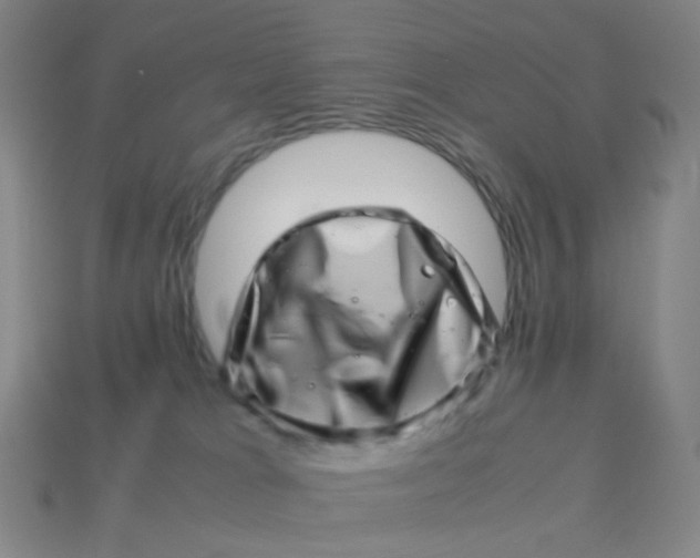 X0000113540037200910091253